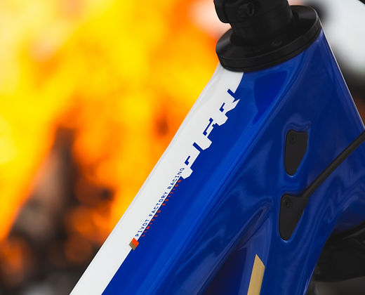 Firebird Pro - XT/XTR