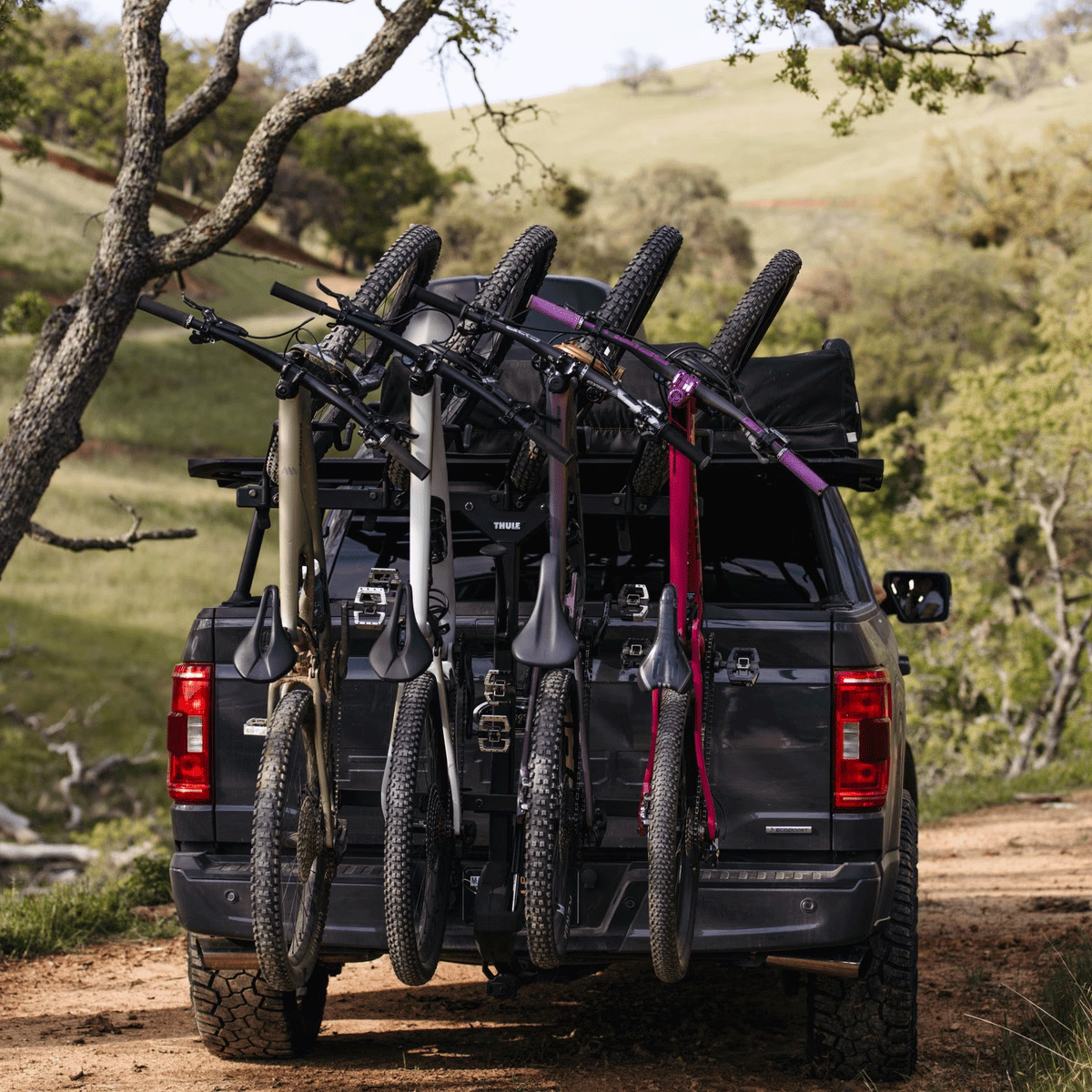Thule - Revert 4